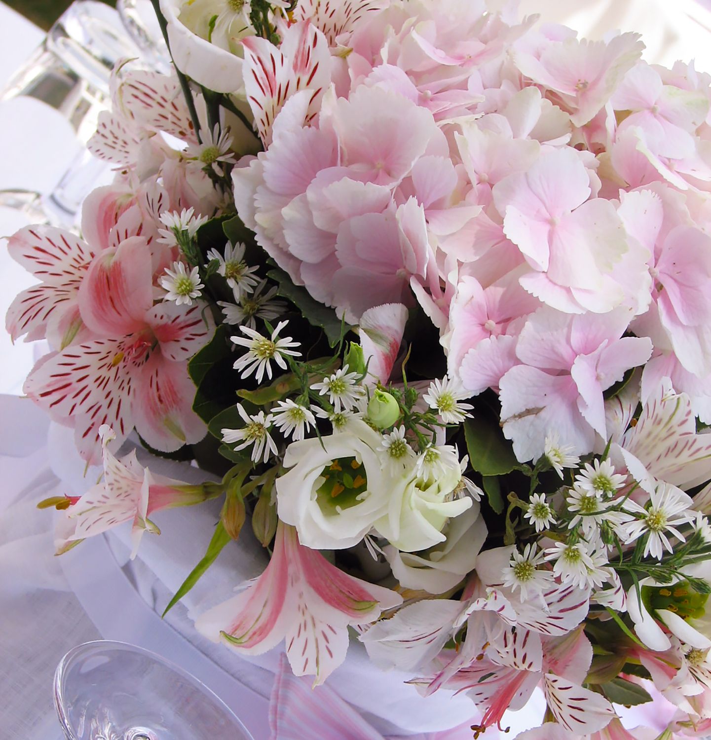 Pale Pink 