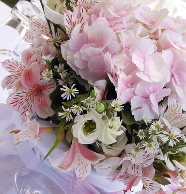 Pale Pink 