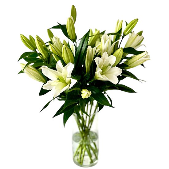 Just Oriental Lilies