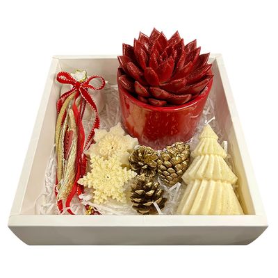 Gift Set Με Παχύφυτο Εχεβέρια