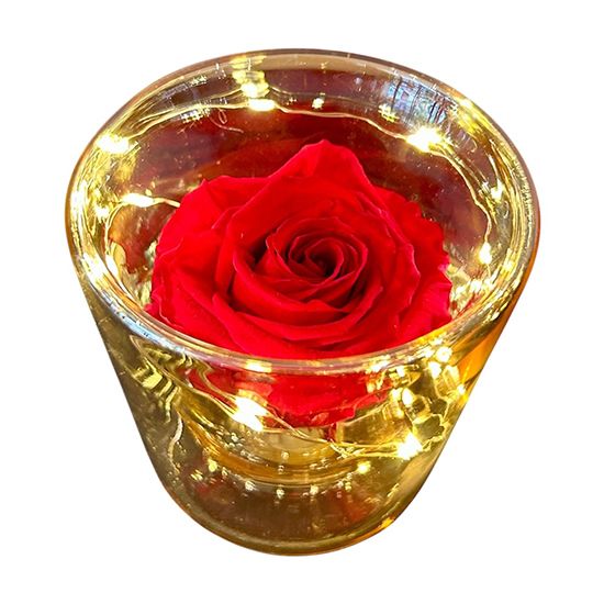 Led Forever Rose - Red