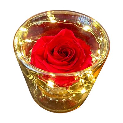 Led Forever Rose - Red