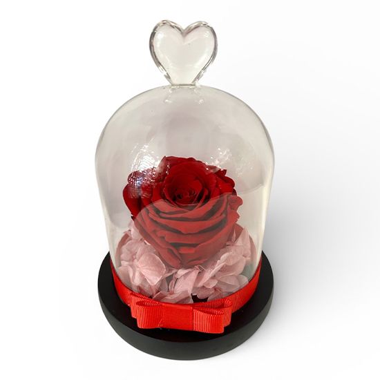 Heart of Glass - Red