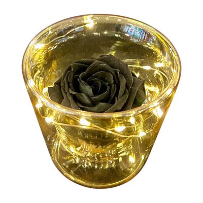 Led Forever Rose - Black