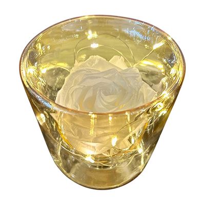 Led Forever Rose - White