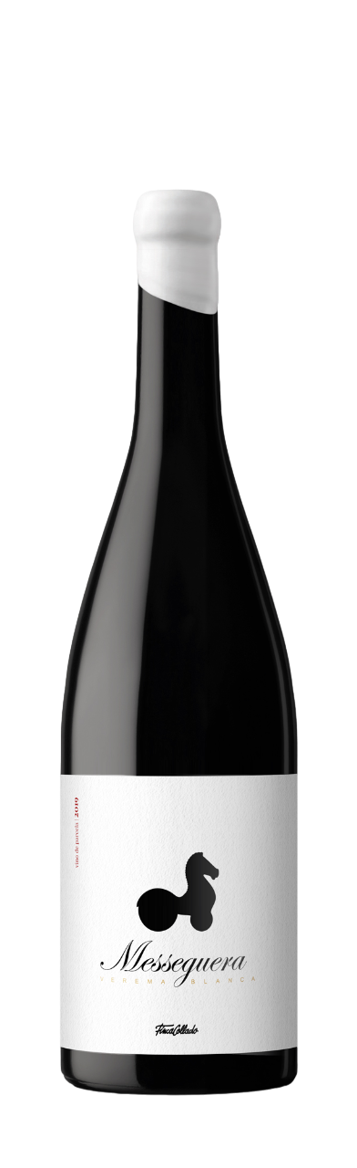 Finca Collado Messeguera 2020