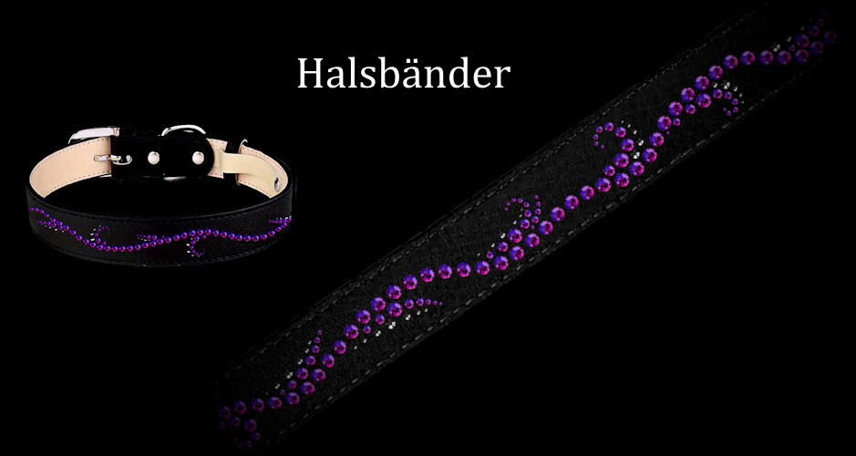 Hundehalsbänder