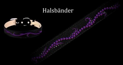 Hundehalsbänder