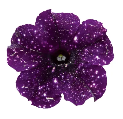 Petunia Mystery Sky