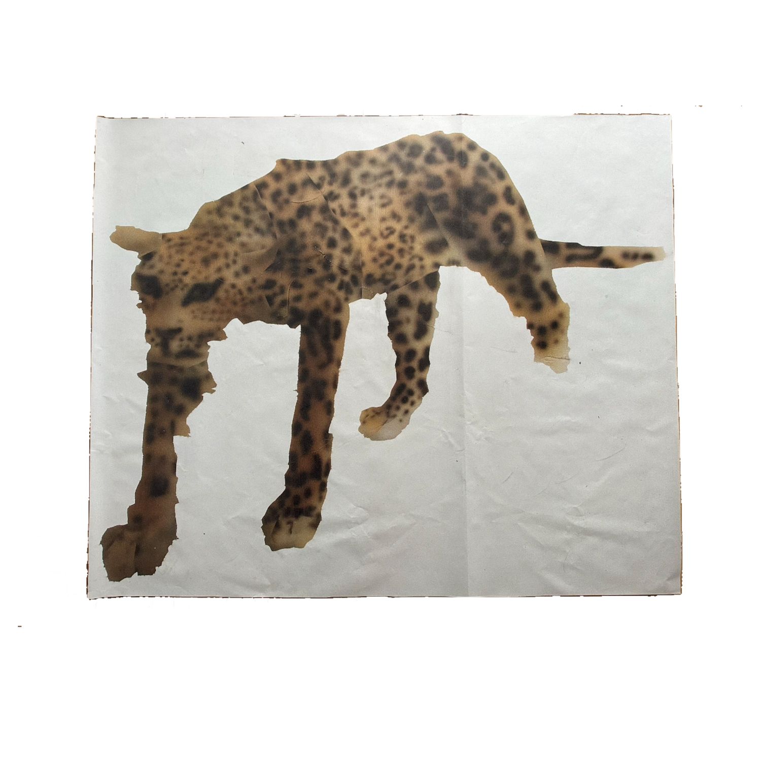cheetah, UV print on PVC banner