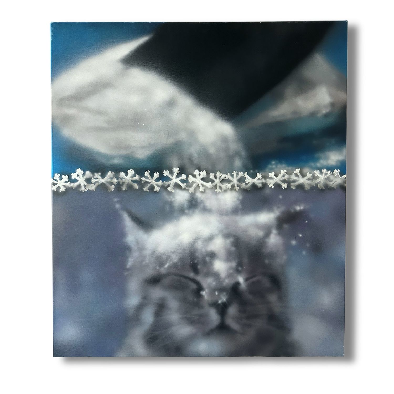 stimboard cat