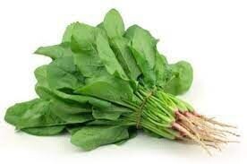 English Spinach bunch
