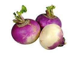 Turnip kg