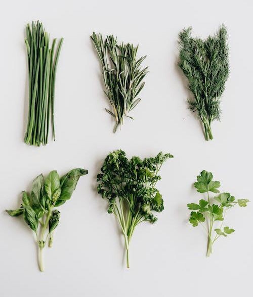 Herbs