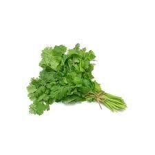 Coriander 6 bunches