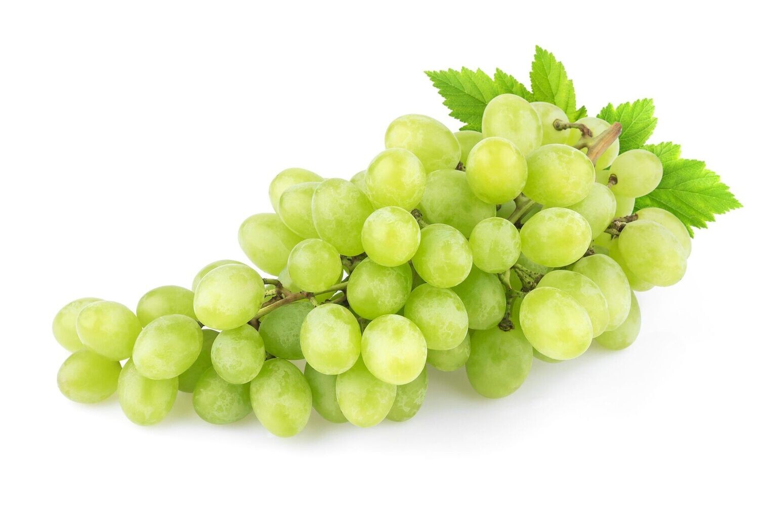 White Grapes kg