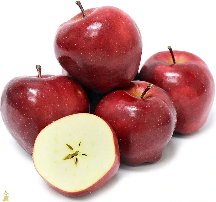 Red Delicious Apple kg