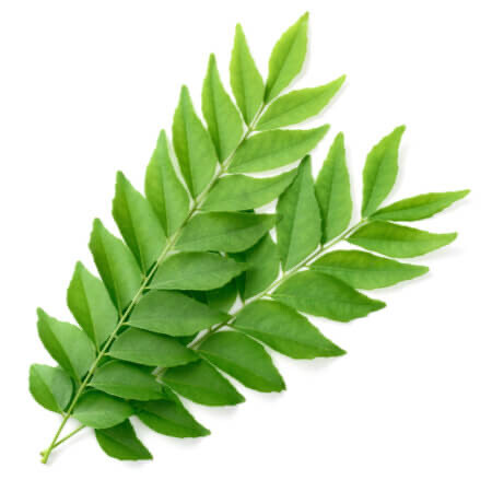 Curry Leaves 100g