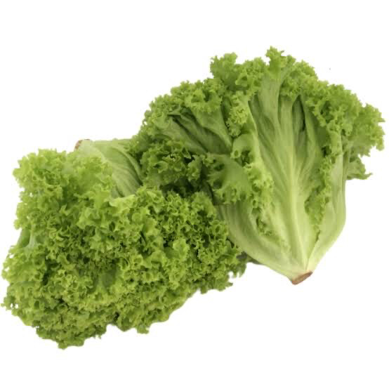 Green Coral Lettuce Each