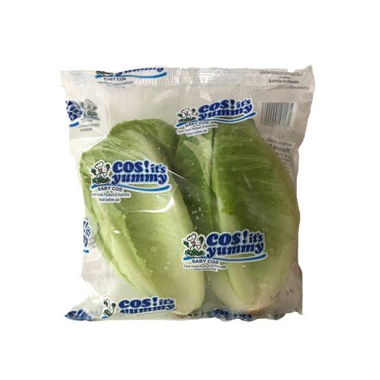 Baby Cos Lettuce Twin Pack