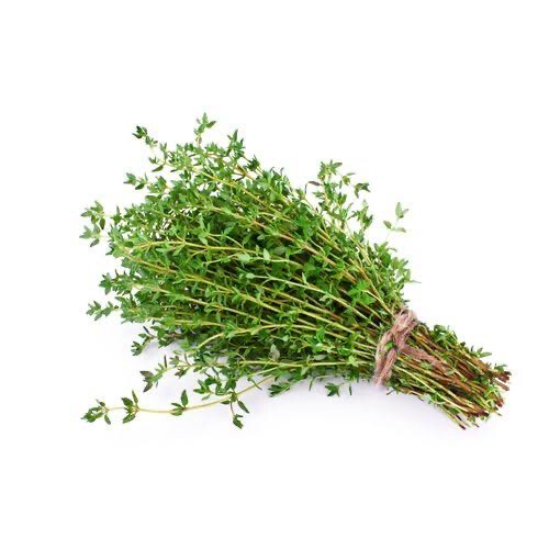 Thyme Bunch