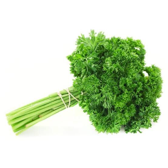 Parsley Curly Bunch