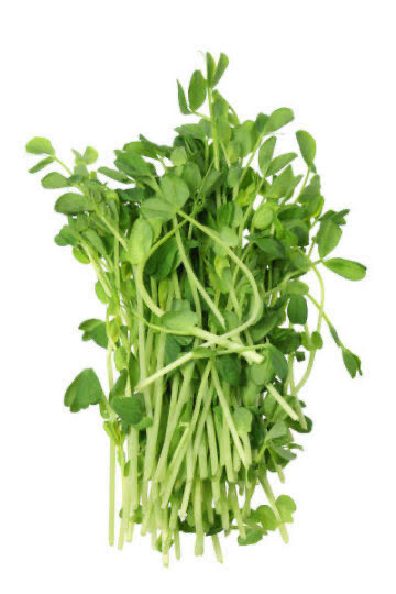Snow Peas Tendrils 100g