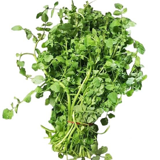 Watercress Bunch