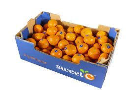 Mandarine Large Box 10kg