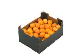 Mandarin 9kg Box