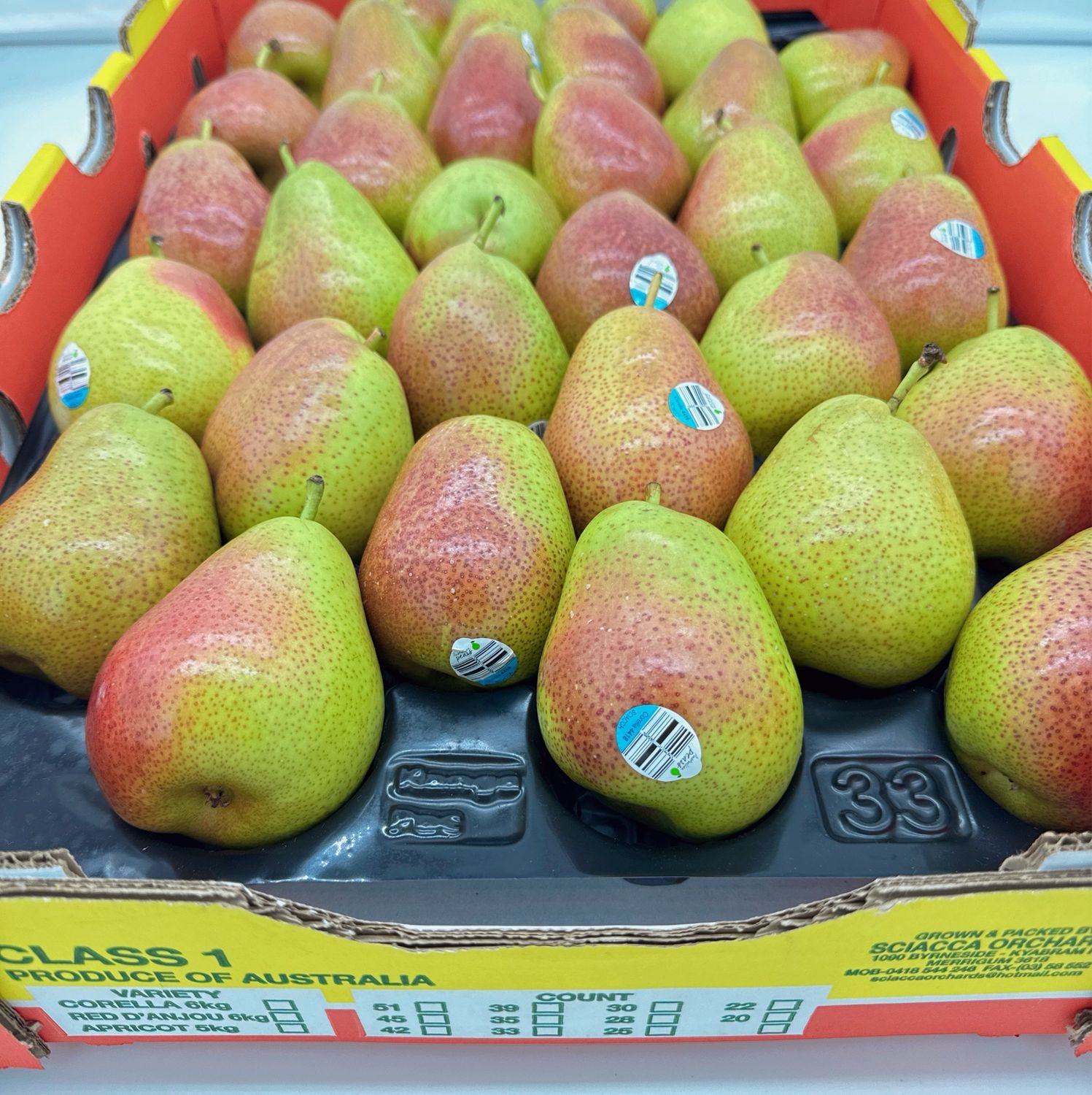 corella pear box 6kg