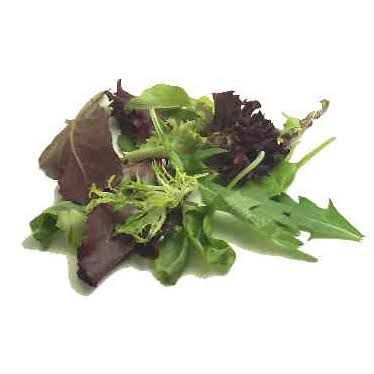 Salad Mix 100gm