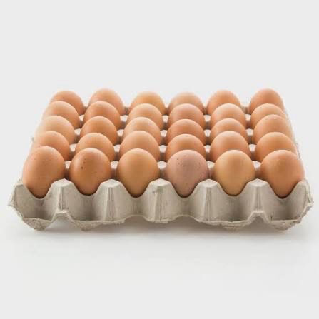 Eggs Tray 30 Pack