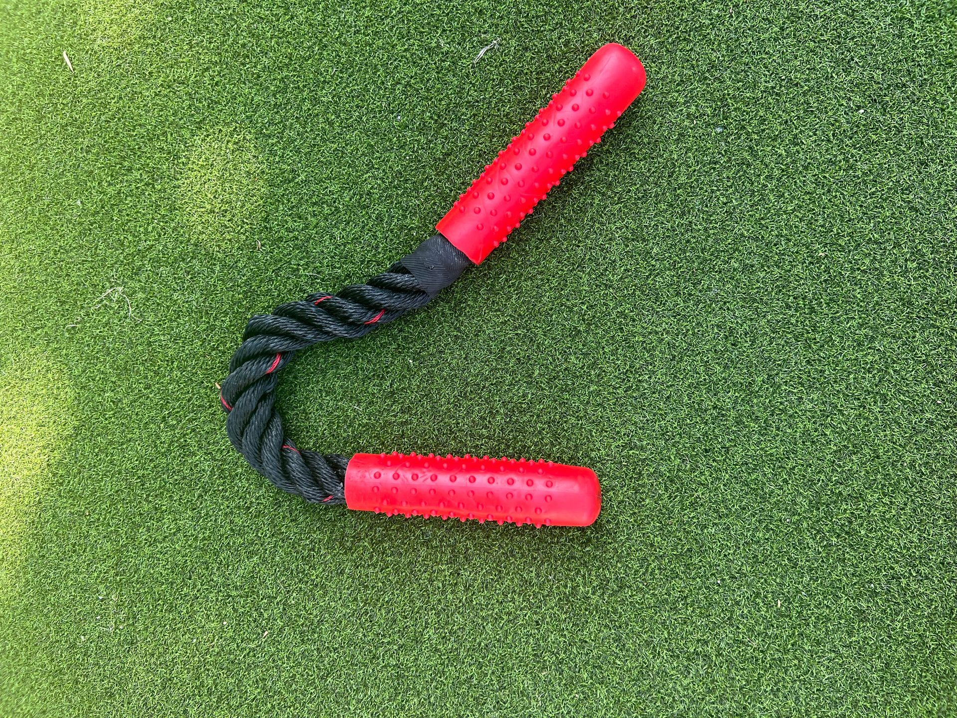 Indestructible Dog Rope