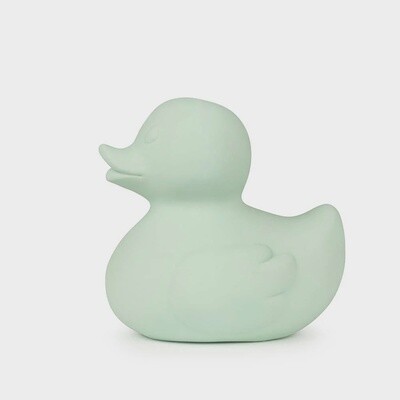 Duck Bath Toy