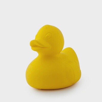 Duck Bath Toy