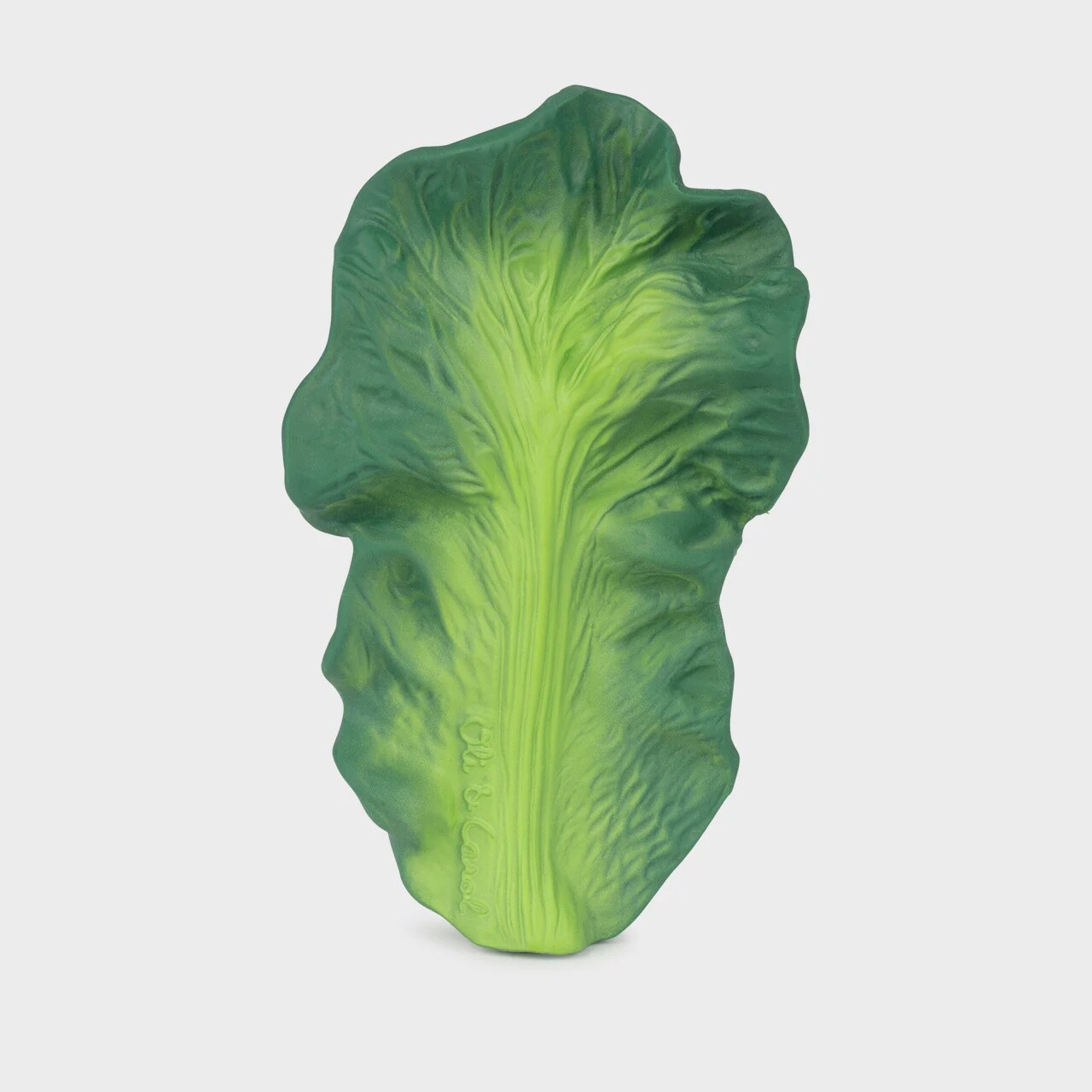 Kendall the Kale Teether