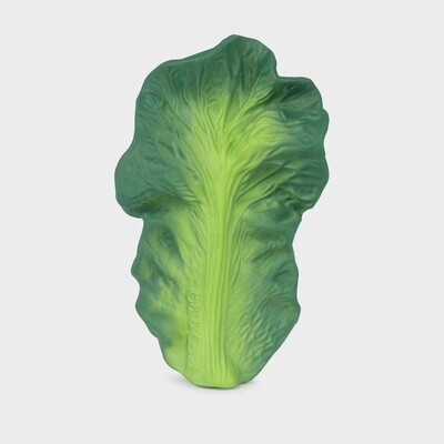 Kendall the Kale Teether
