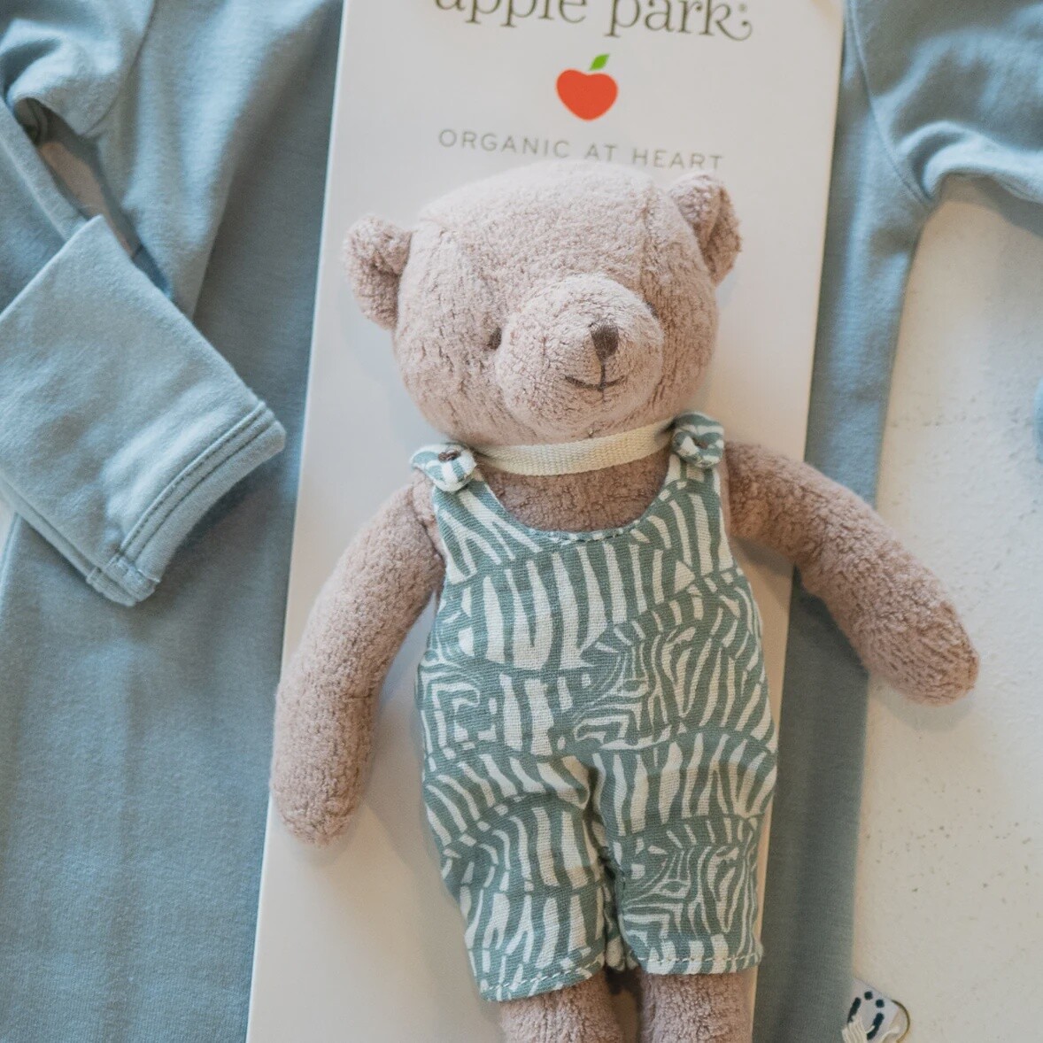 Zebra Cocoa Bear