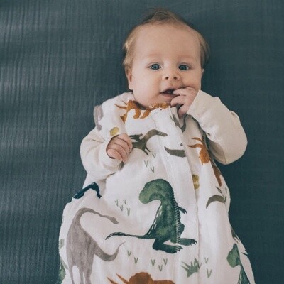Dino Muslin Sleep Sack