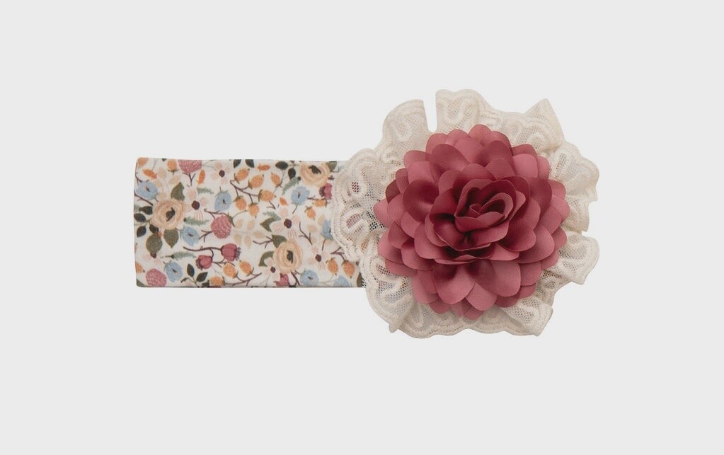 Harvest Dream Headbands