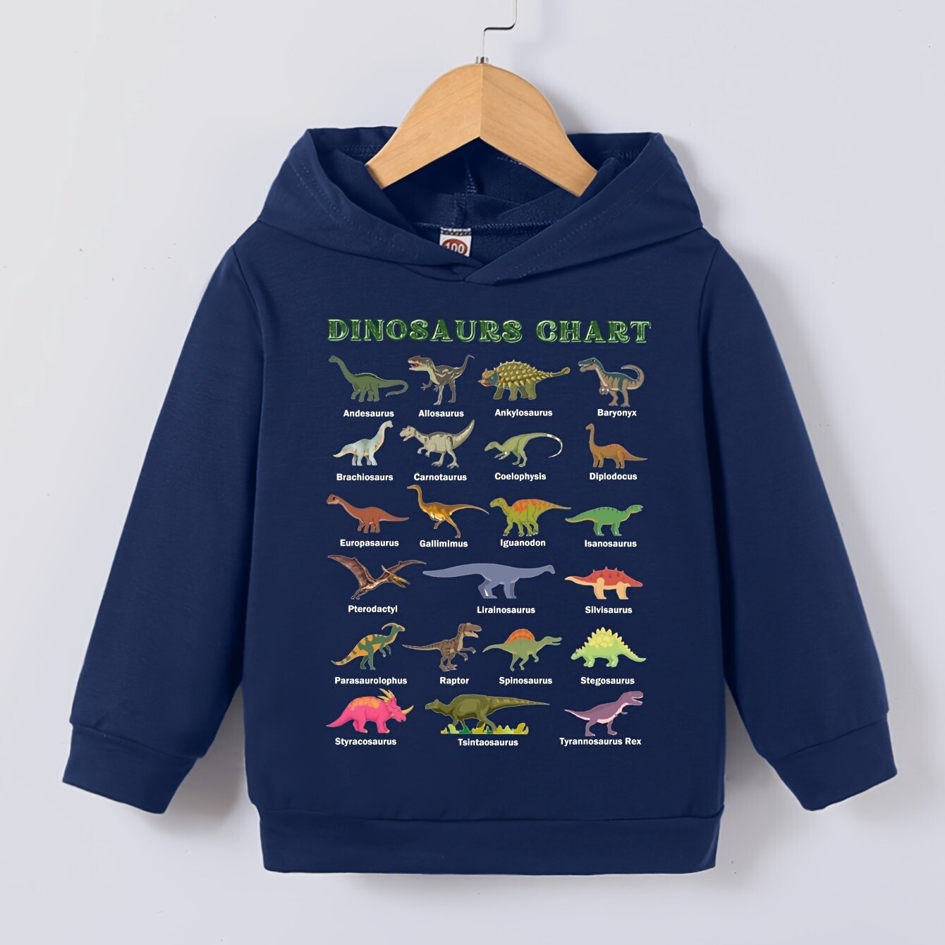 Dinosaur Chart Hoodie