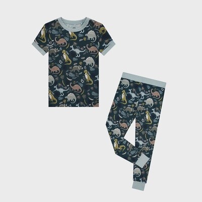 Prehistoric Dinosaur 2Pc Pajama Set