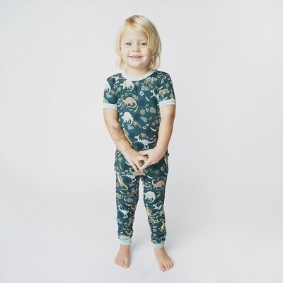 Prehistoric Dinosaur 2Pc Pajama Set