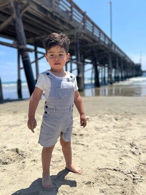 Grey Woven Overalls (HB1237e)