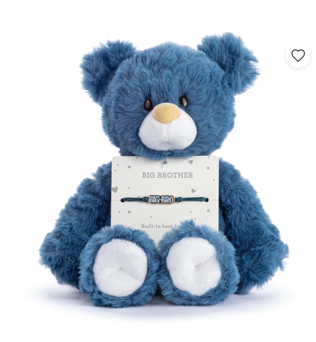 Big Brother Navy Bear