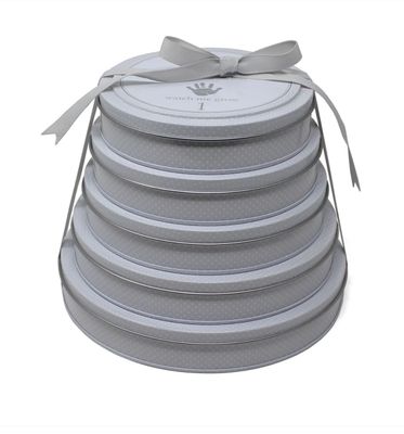 Grey Tower of Time