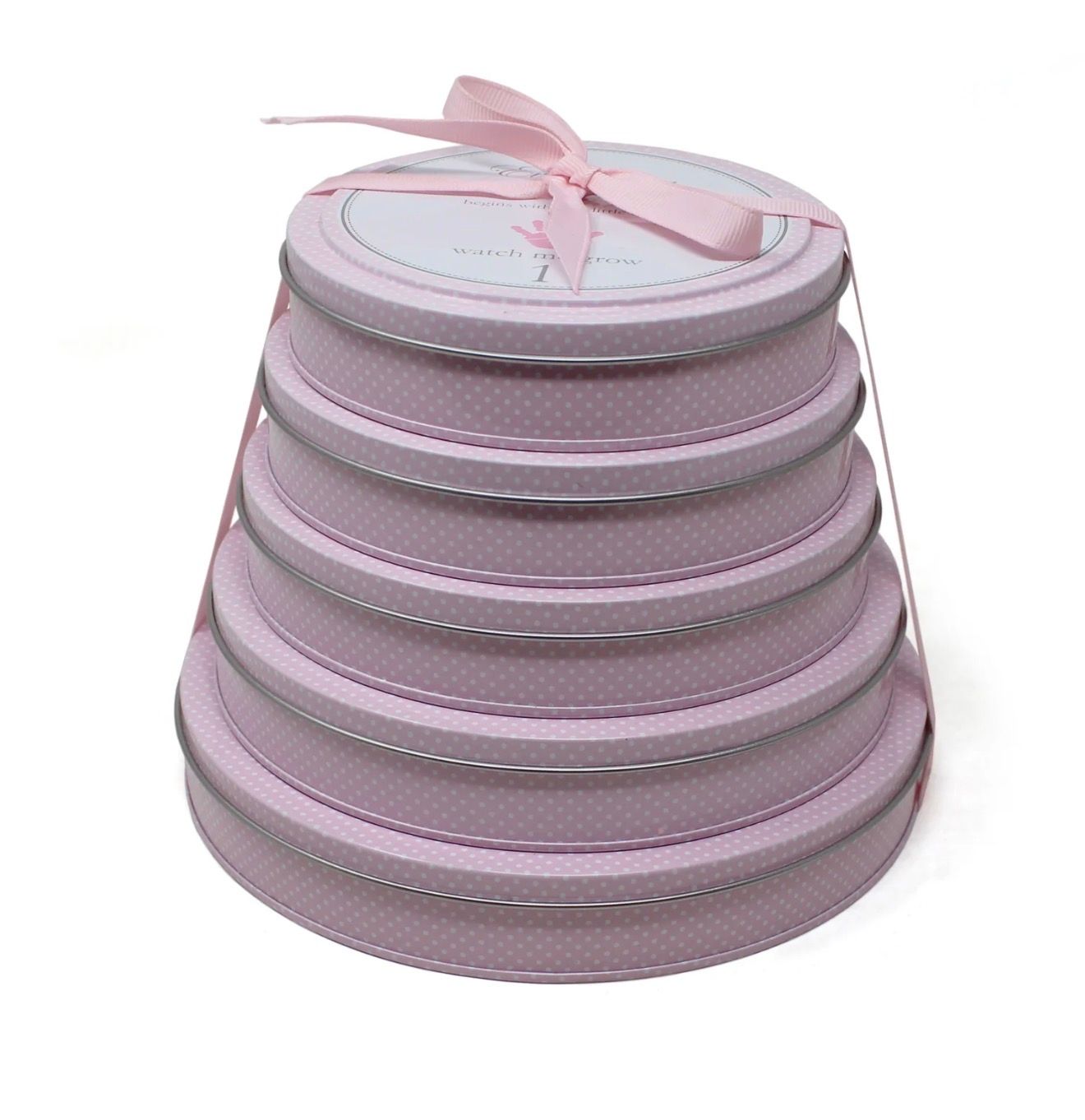Pink Tower of Time