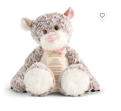Pink Giving Bear