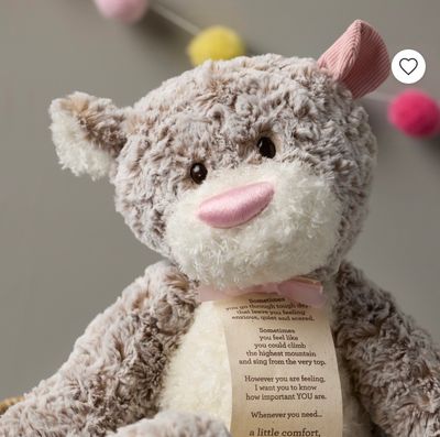 Pink Giving Bear